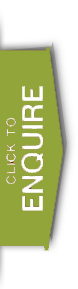 Captivating Journey Tourism